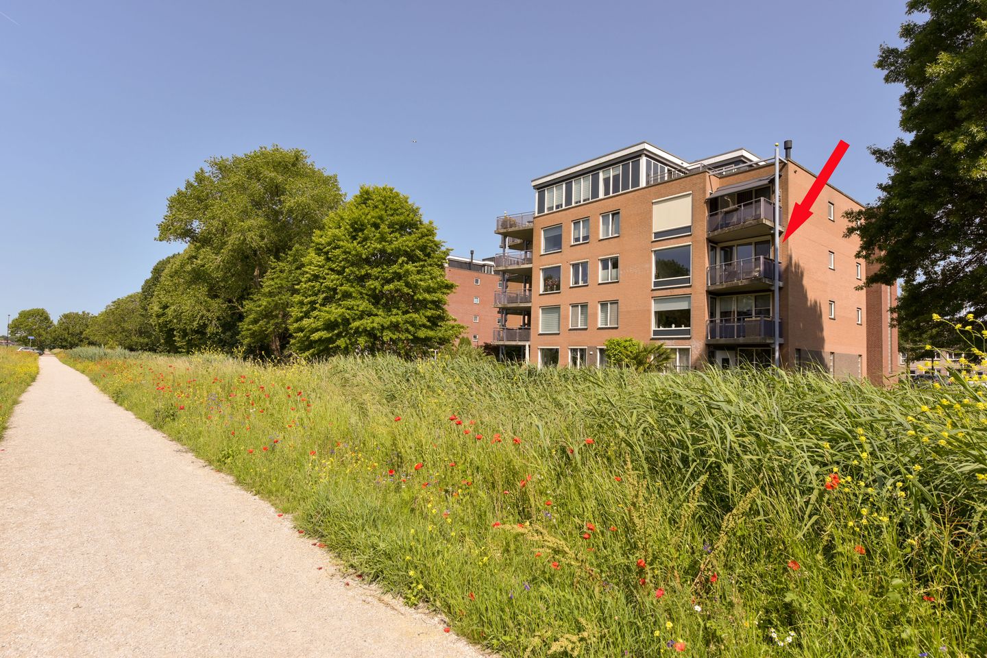 Wagenmaker 145 main image