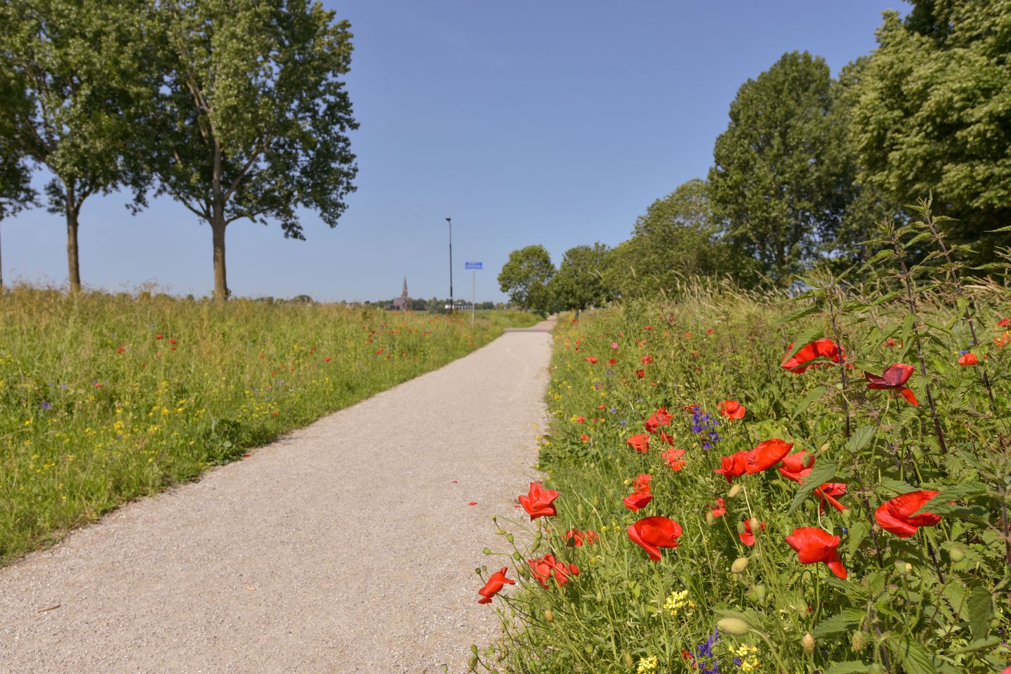 Foto 29 van Wagenmaker 145