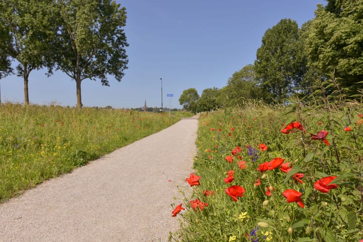 Foto 29 van Wagenmaker 145