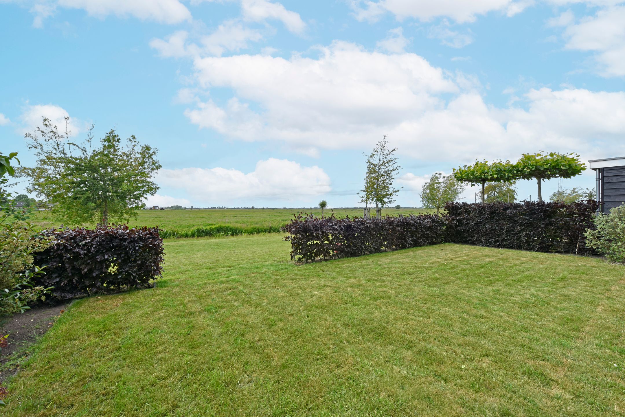 Foto 45 van Waterhoen 18