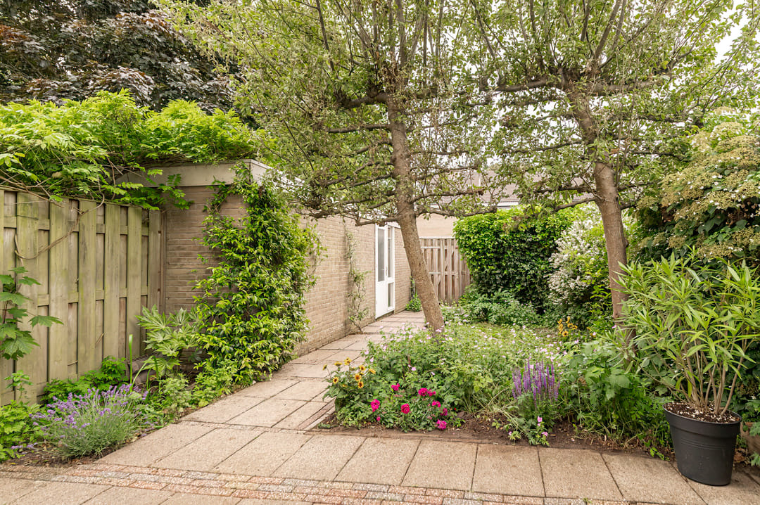 Foto 2 van Thijsselaan 35