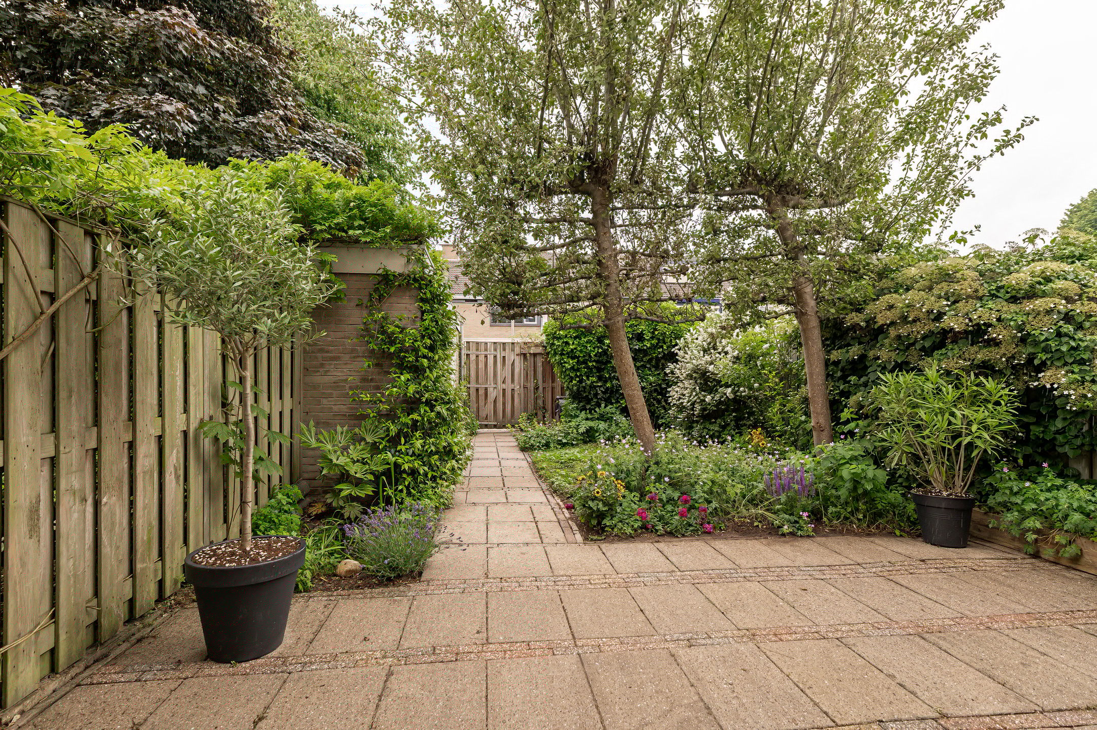 Foto 12 van Thijsselaan 35