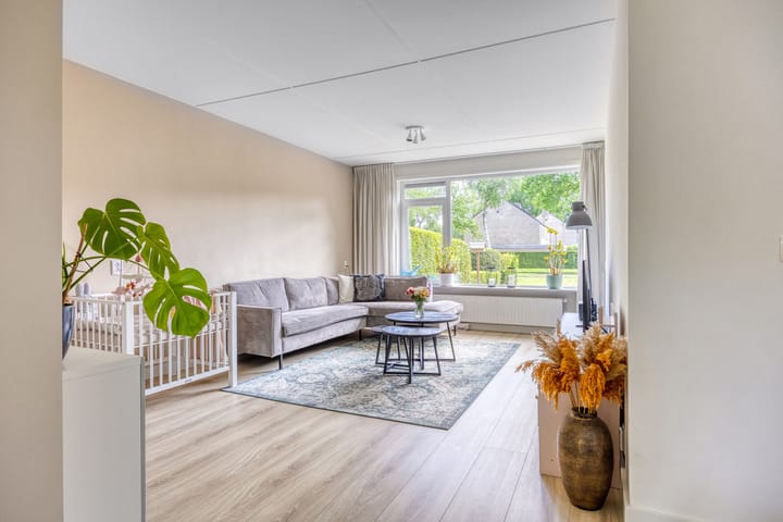 Foto 7 van Sassenbergen 41