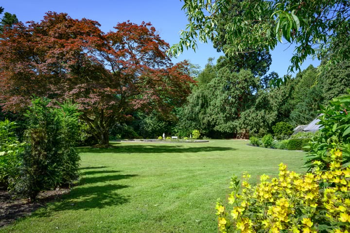 Foto 77 van Zutphensestraat 87