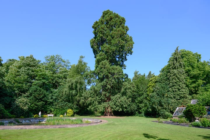 Foto 84 van Zutphensestraat 87