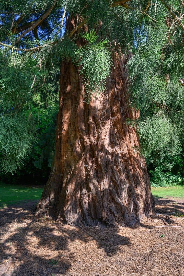 Foto 85 van Zutphensestraat 87