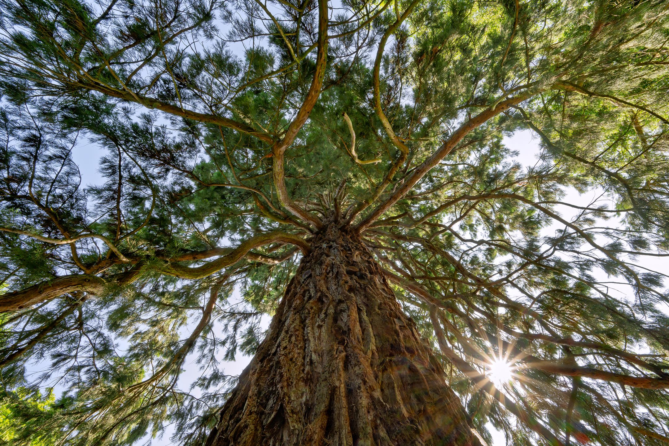 Photo 87 of Zutphensestraat 87