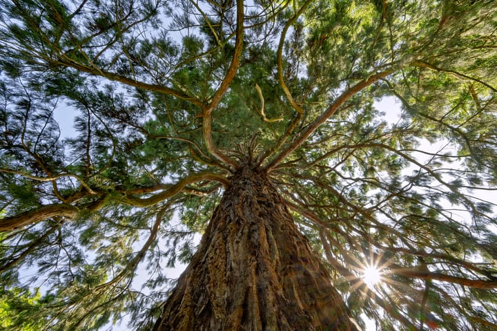 Foto 87 van Zutphensestraat 87