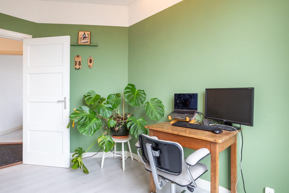 Foto 10 van Linnaeusstraat 227