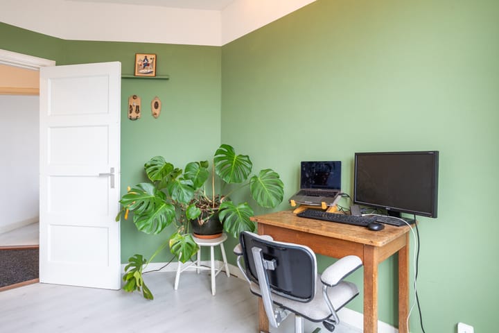 Foto 10 van Linnaeusstraat 227