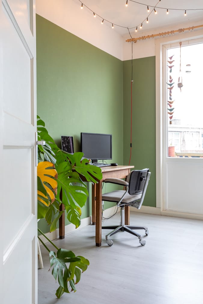 Foto 12 van Linnaeusstraat 227