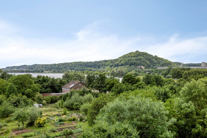 Foto 2 van Salviabeemd 33-G