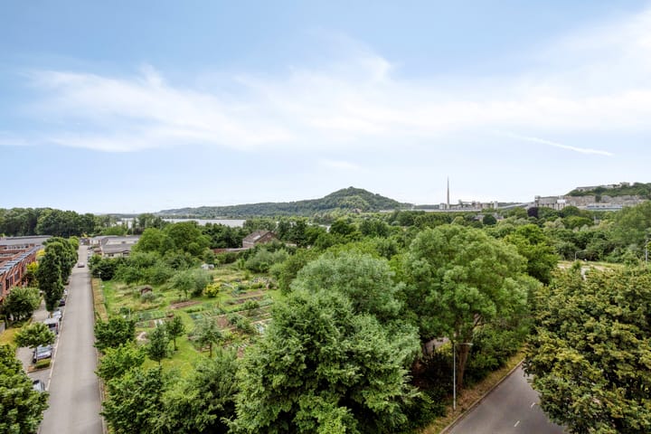 Foto 24 van Salviabeemd 33-G