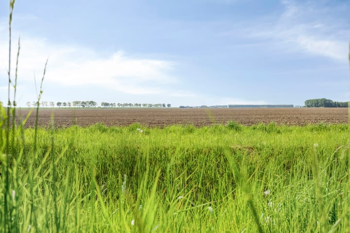 Photo 31 of Seggegors 27