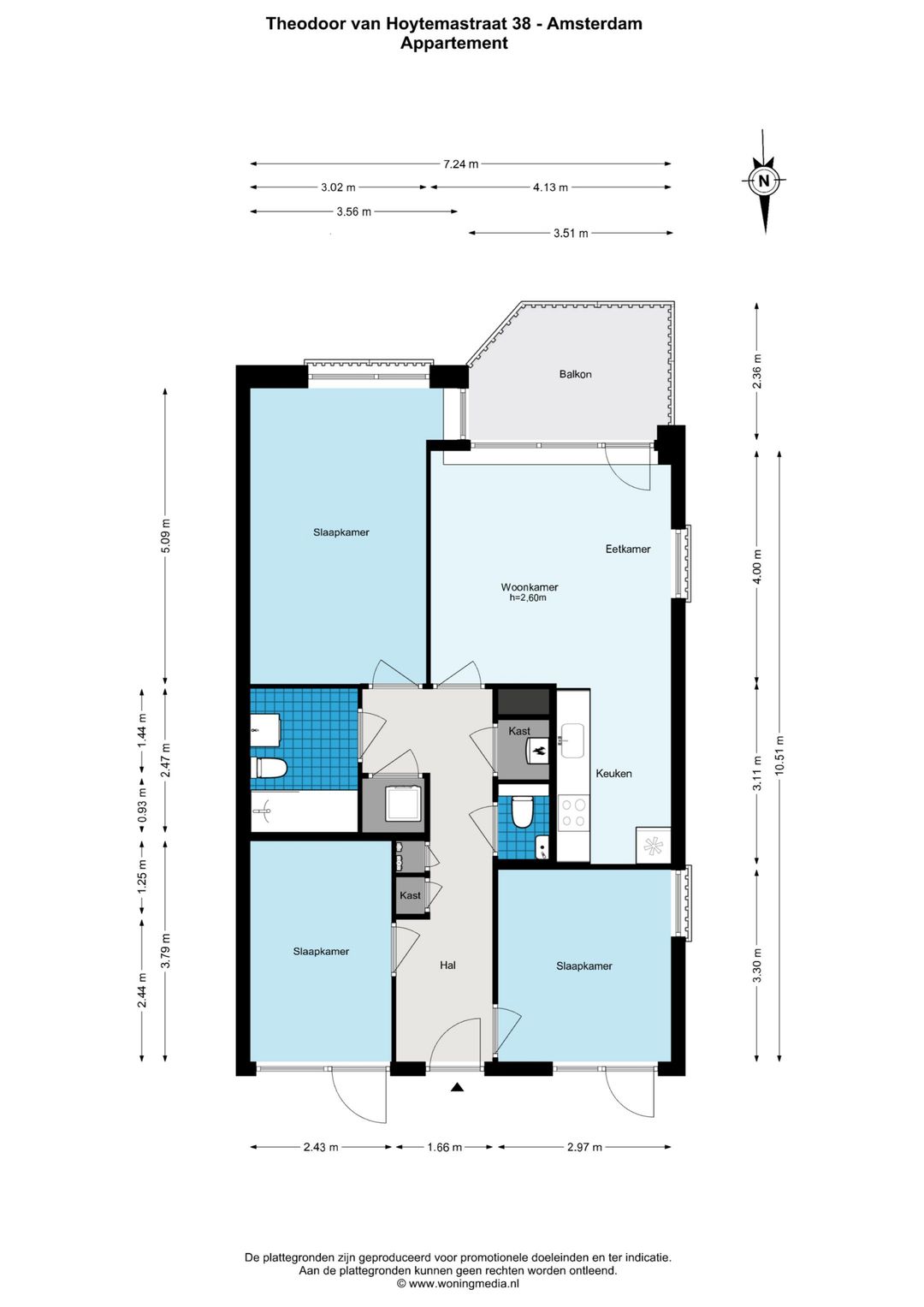 Foto 26 van Theodoor van Hoytemastraat 38