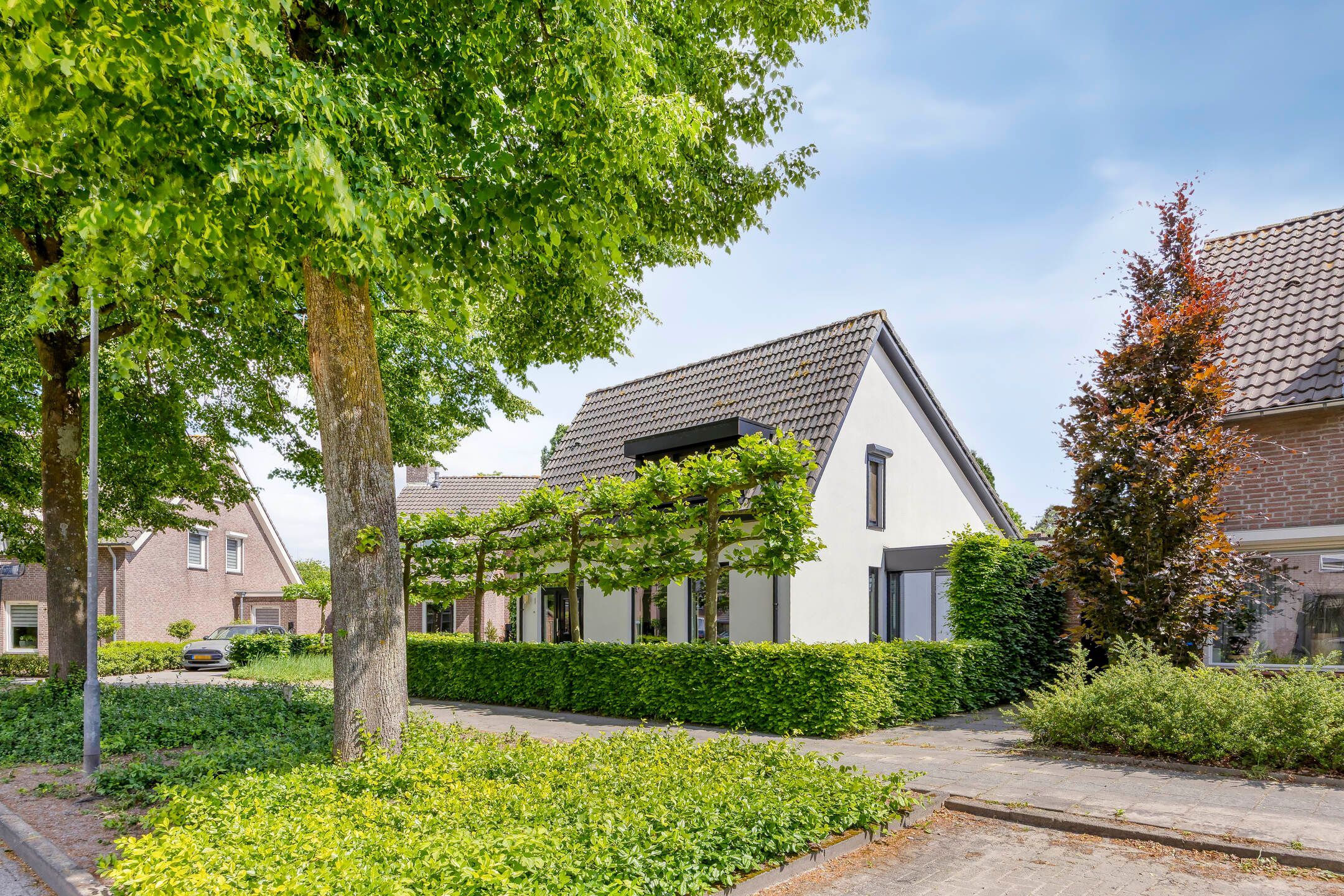 Foto 6 van Oisterwijkplantsoen 1