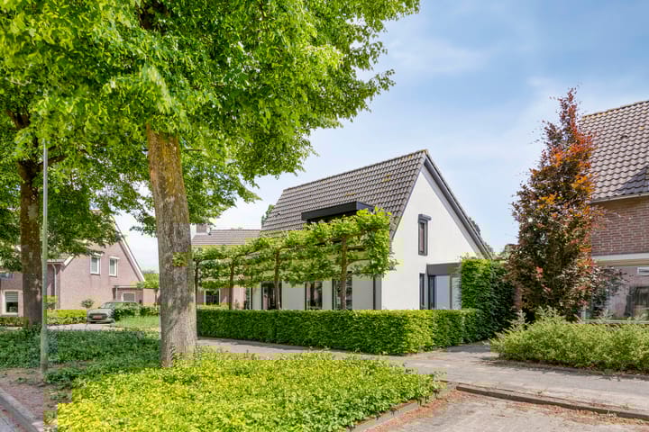 Foto 6 van Oisterwijkplantsoen 1