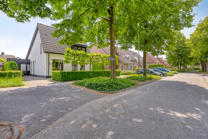 Foto 10 van Oisterwijkplantsoen 1