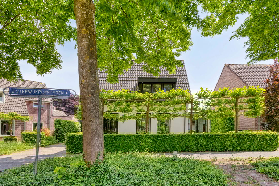 Foto 11 van Oisterwijkplantsoen 1