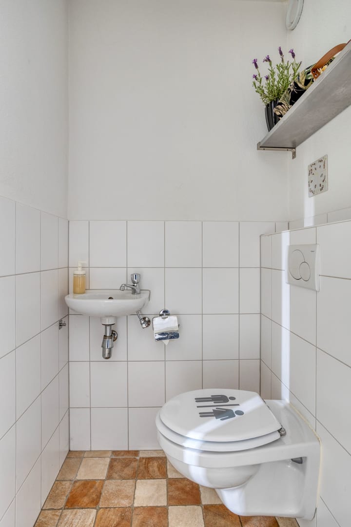 Photo 9 of Bladwesp 8