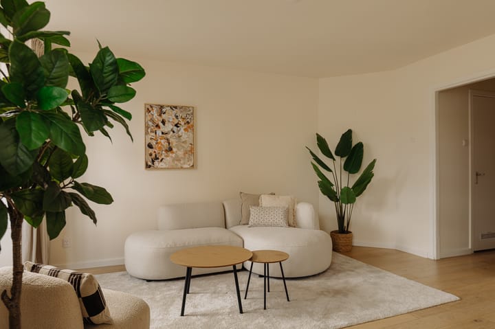 Foto 10 van Hoofdweg 253-2