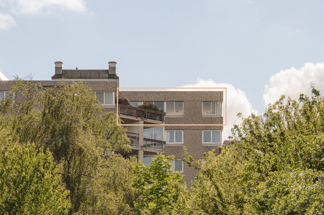 Foto 2 van Gouden Leeuw 448