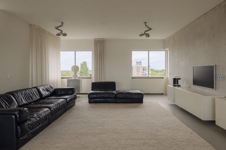 Foto 12 van Gouden Leeuw 448