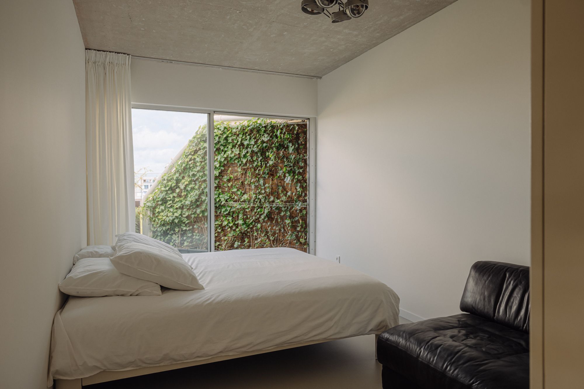 Foto 27 van Gouden Leeuw 448