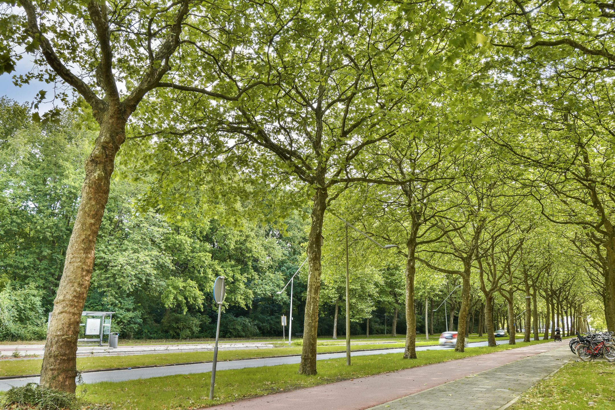 Foto 15 van Van Nijenrodeweg 185