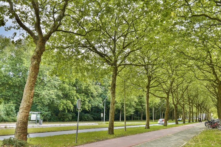 Foto 15 van Van Nijenrodeweg 185