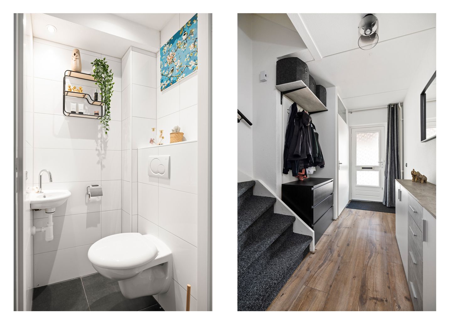 Foto 10 van Duizendblad 21