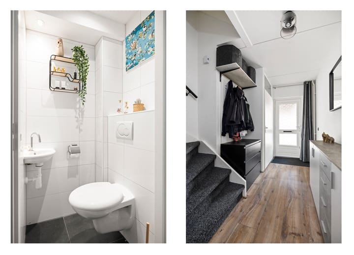 Foto 10 van Duizendblad 21