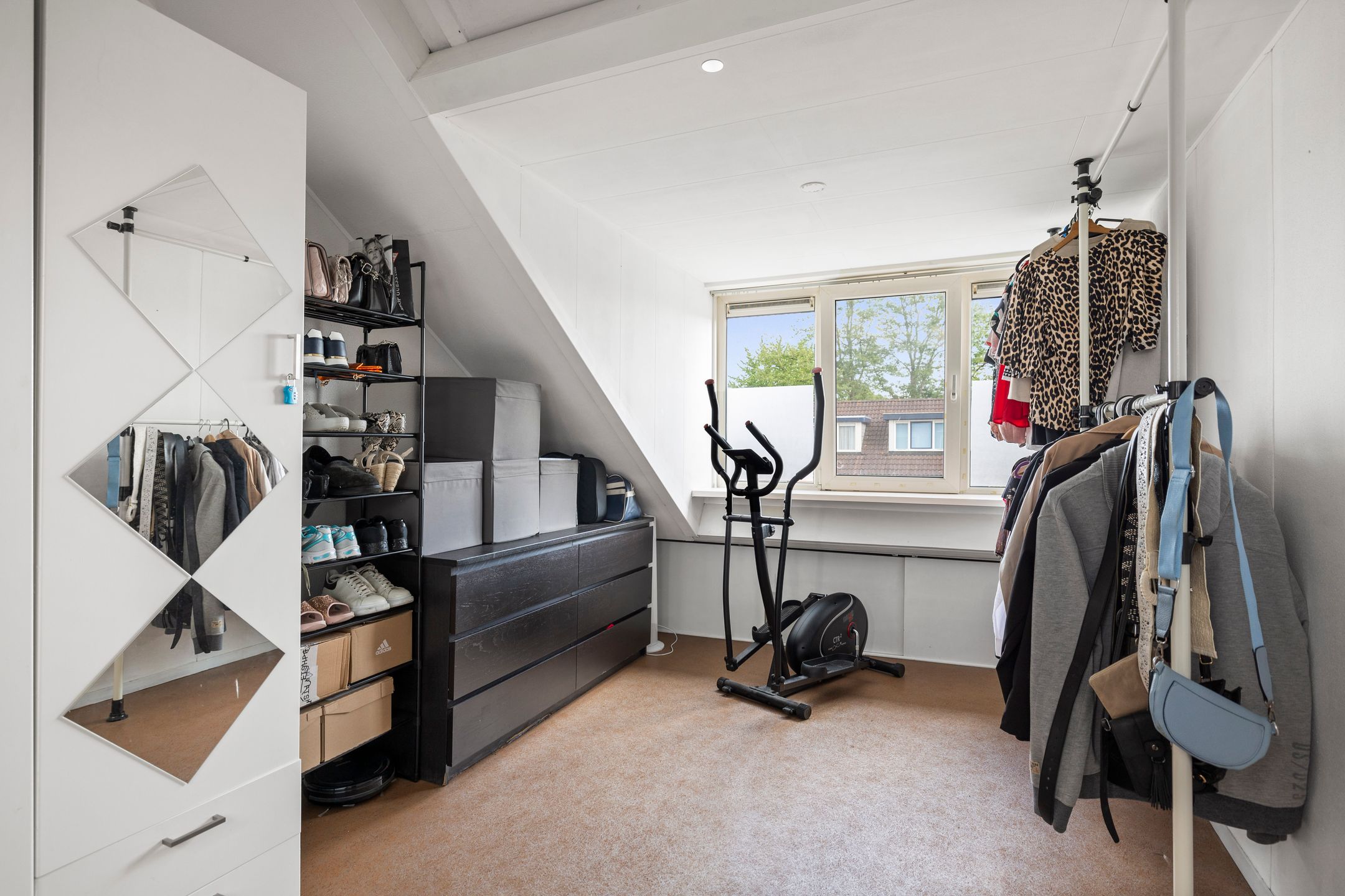 Foto 21 van Duizendblad 21