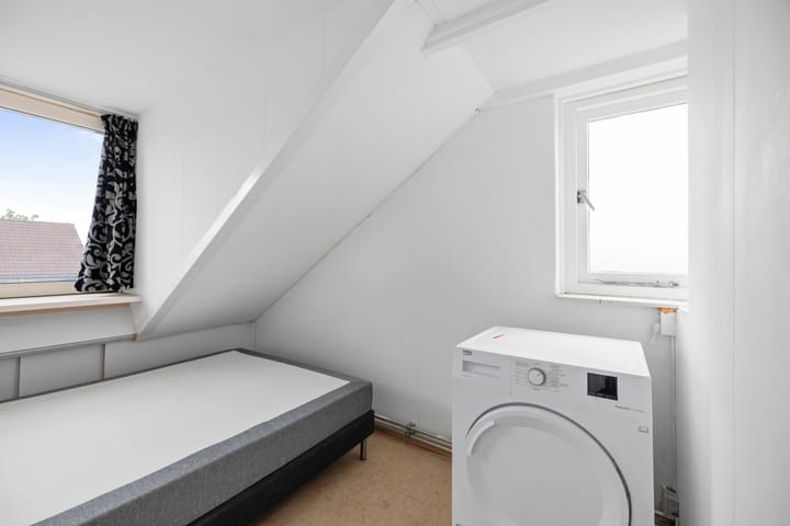 Foto 24 van Duizendblad 21