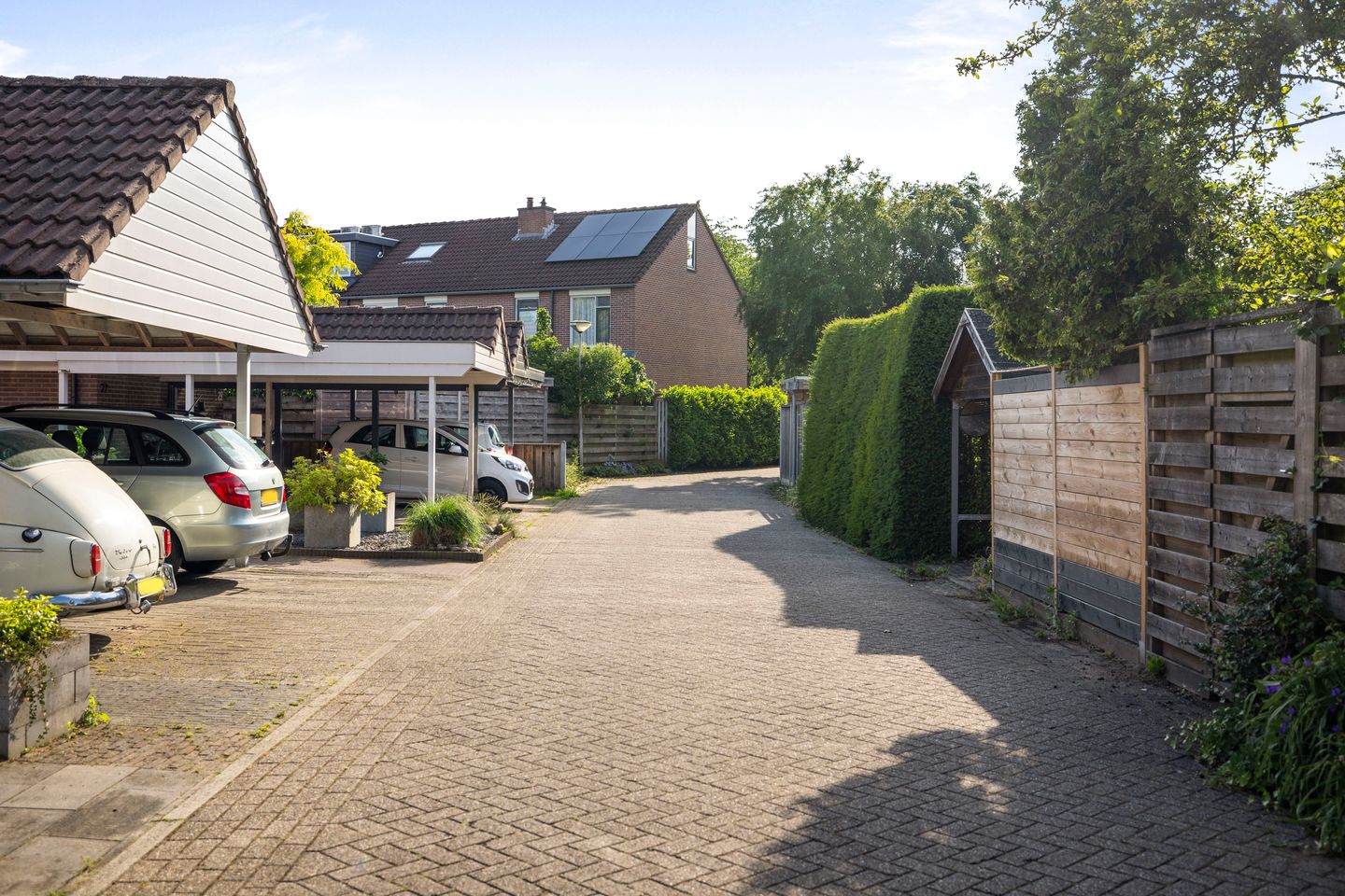 Foto 34 van Duizendblad 21