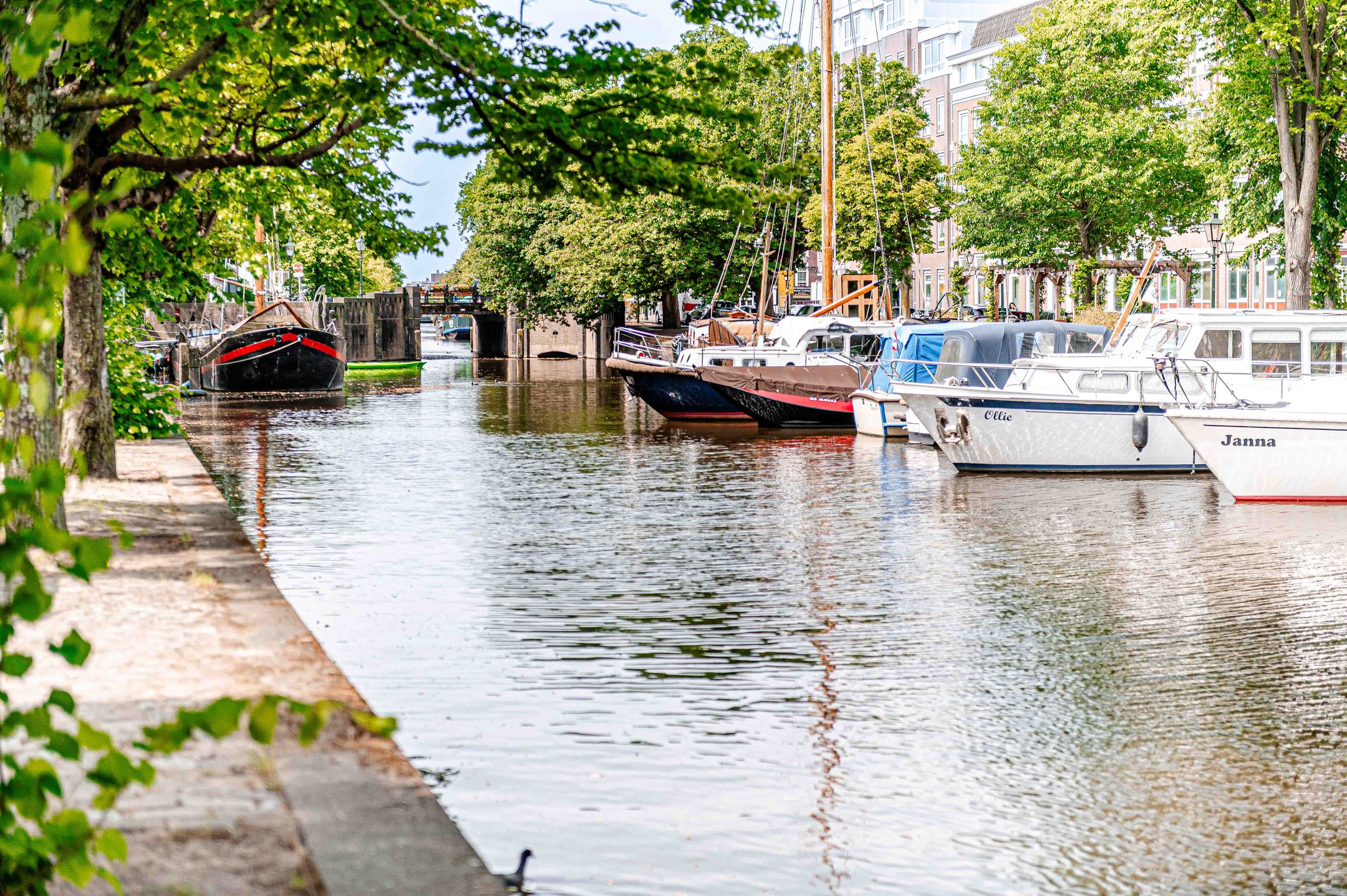 Foto 42 van Groenewegje 170-A