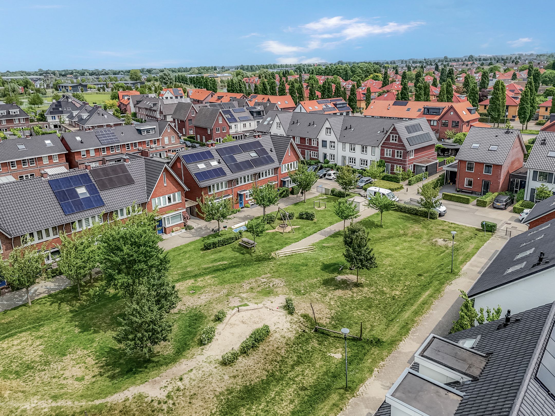 Foto 3 van Korianderpad 6