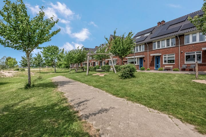 Foto 4 van Korianderpad 6