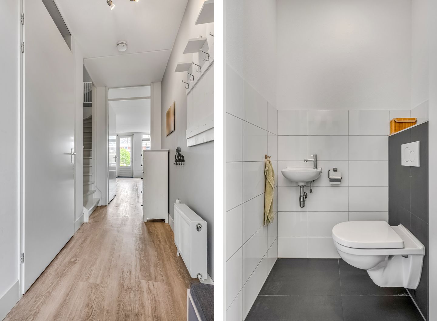 Foto 5 van Korianderpad 6