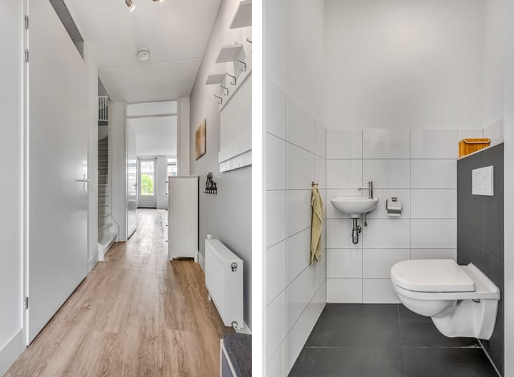 Foto 5 van Korianderpad 6