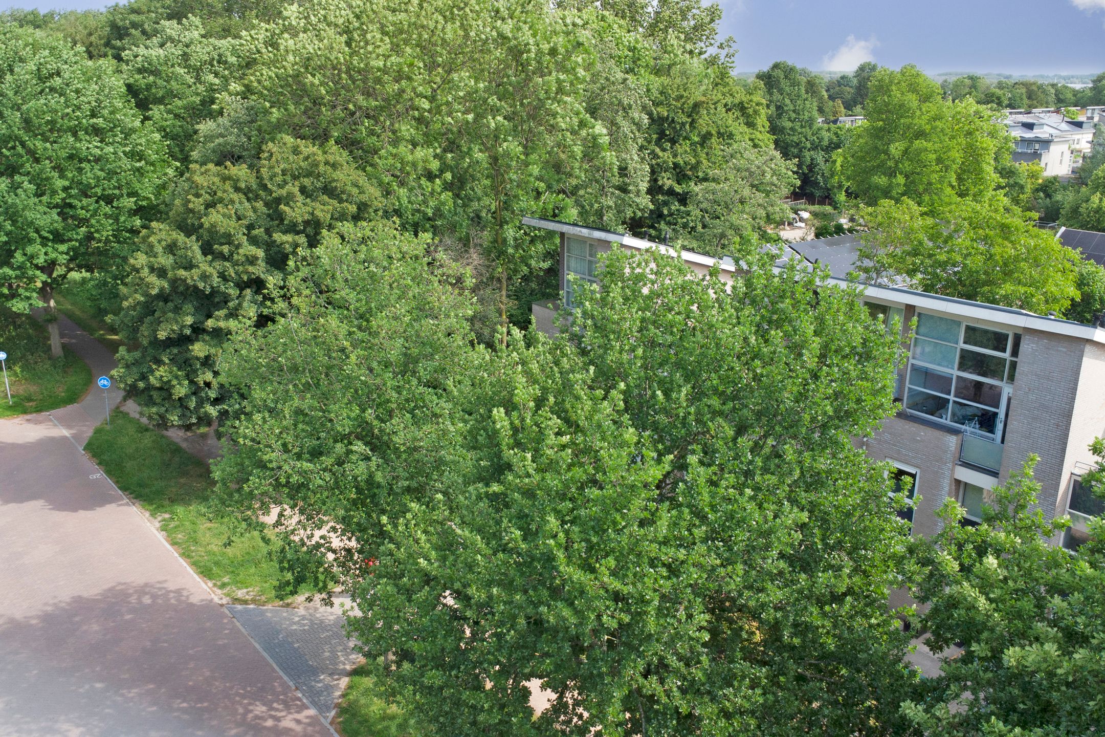 Photo 36 of Hoflaan 25