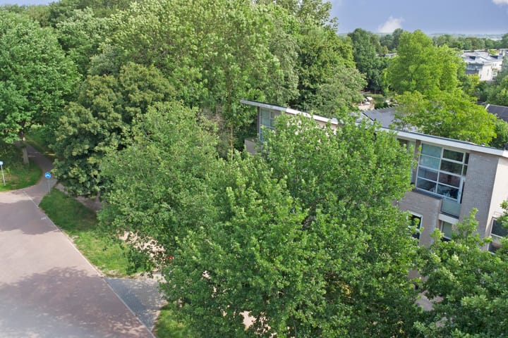 Foto 36 van Hoflaan 25