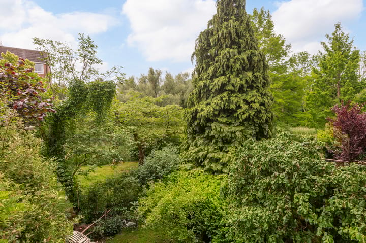 Photo 14 of Leerdamhof 369