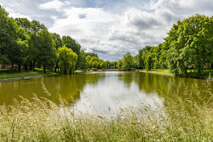 Foto 2 van Kraanvogelstraat 37