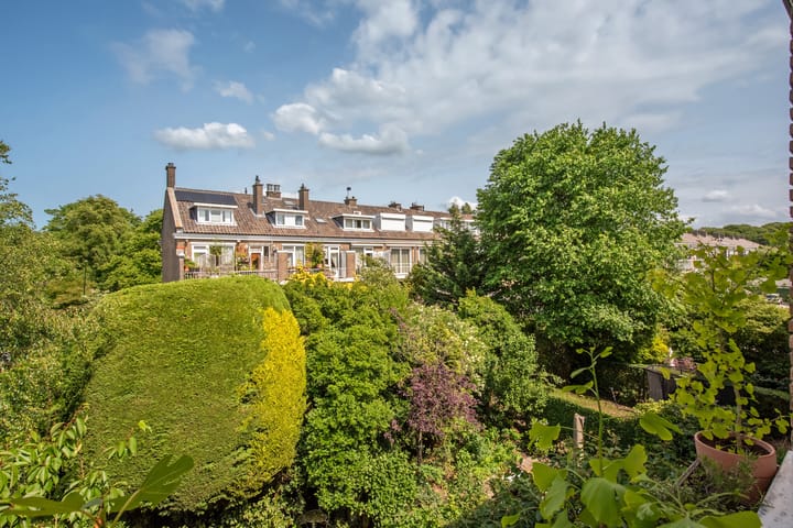 Foto 26 van Hanedoesstraat 139