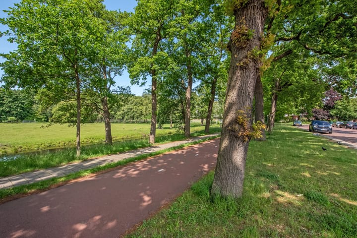 Foto 33 van Hanedoesstraat 139