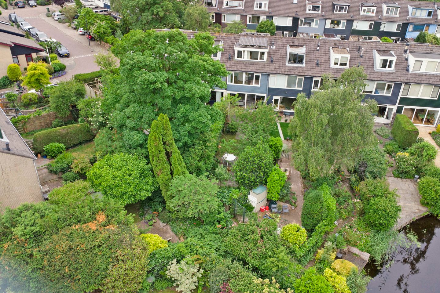 Foto 34 van Korenbloem 52