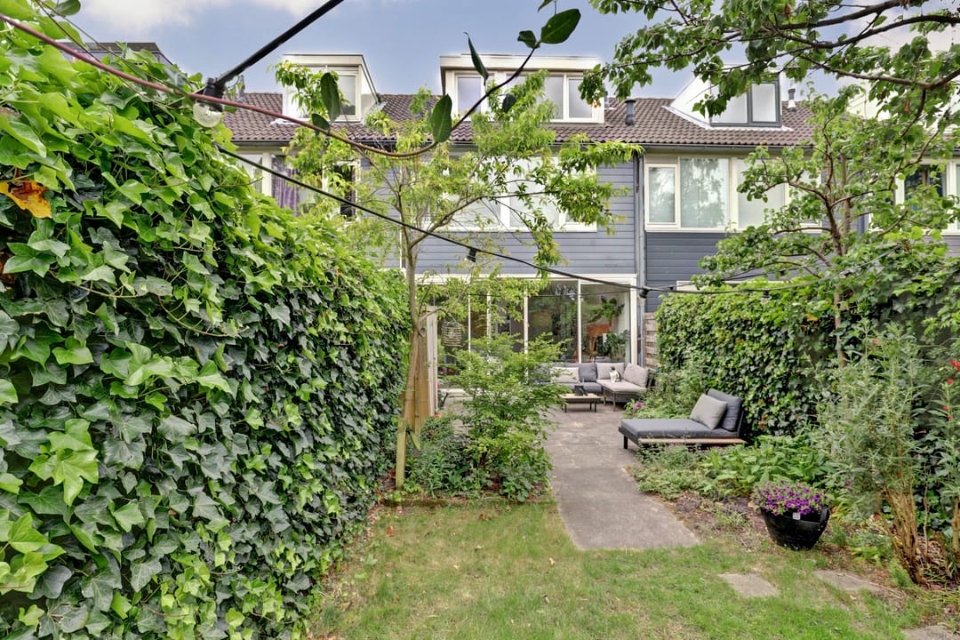 Foto 31 van Korenbloem 52