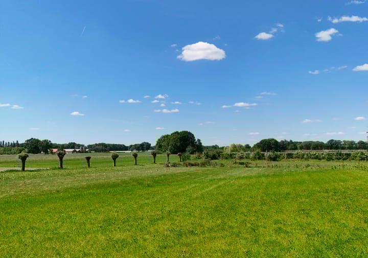 Photo 5 of Holleneind