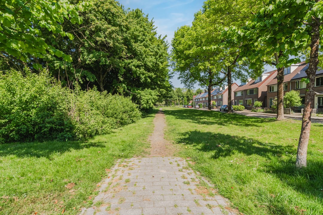 Photo 53 of Nachtegaal 114